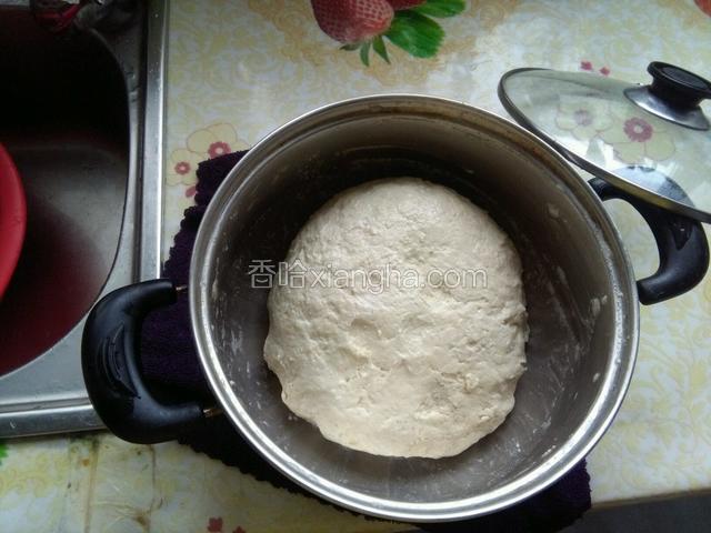 找一个合适的容器把面粉加入适量的水，和成面团醒发半小时。