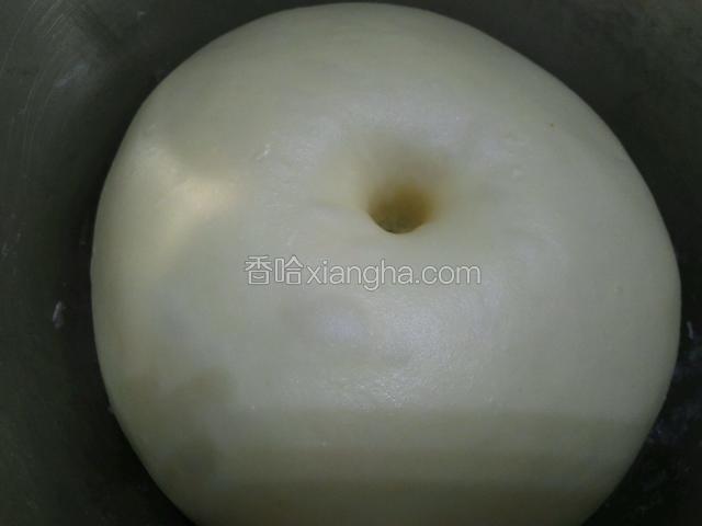 发酵至两倍大时，用手指戳一下，面团不回缩也不回弹