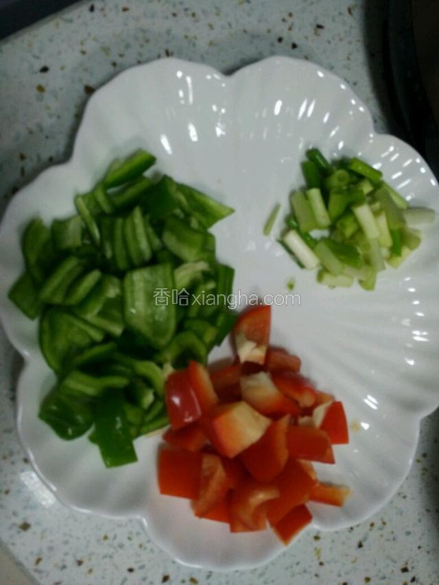 材料准备入下
