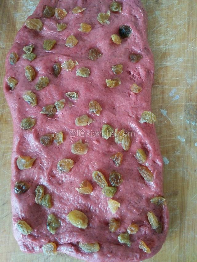 擀成长方形面片，铺上葡萄干