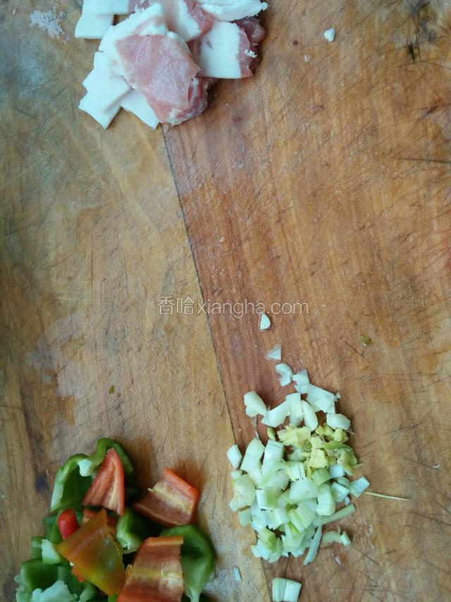 猪肉切片，葱姜蒜切碎，青椒辣椒胡萝卜切片。