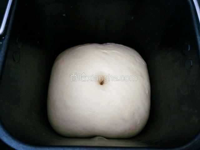 滚圆后直接放面包桶里进行基础发酵，至原来的两倍大，手指沾水或干粉探入不即可回缩即可。
