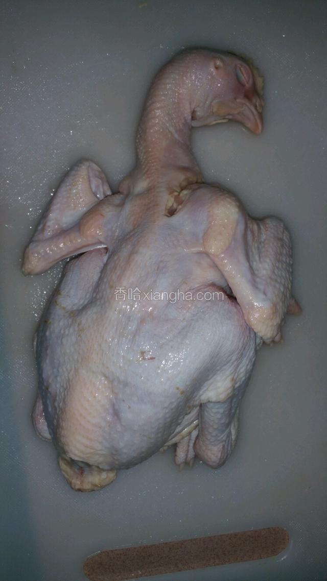 三黄鸡一只洗净
