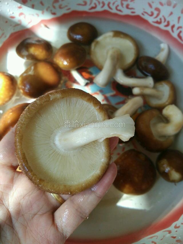 搅搅捞起来，已经很干净了