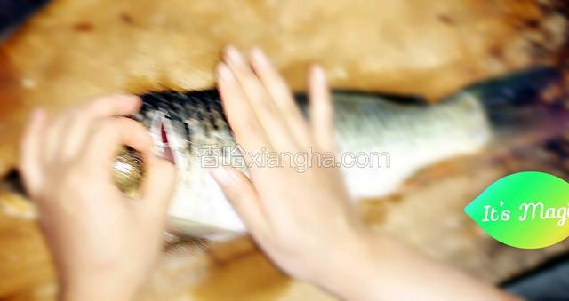 将鱼去鳞，去腮，以及内脏洗净。
用刀斜切鱼头与鱼身交界处，去除腥线。