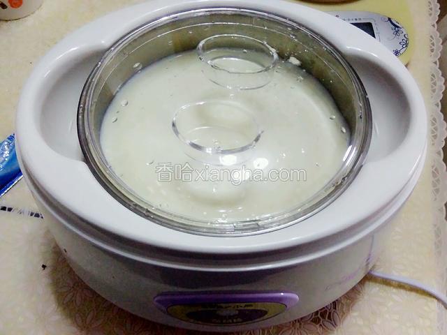将装有纯牛奶的内胆放在酸奶机里