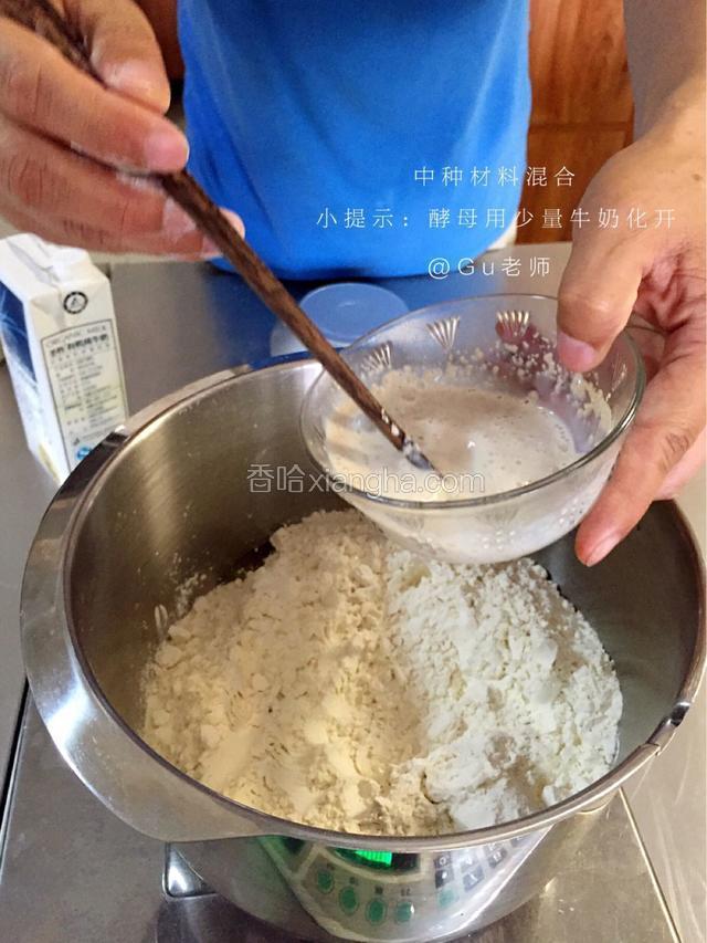 将中种面团材料所有材料混合成光滑的面团酵母先用少量牛奶化开一起加入效果更好