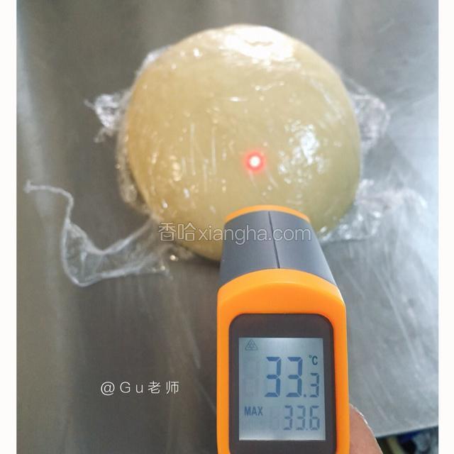 揉好的面团延续发酵20分钟夏天很热发酵很快