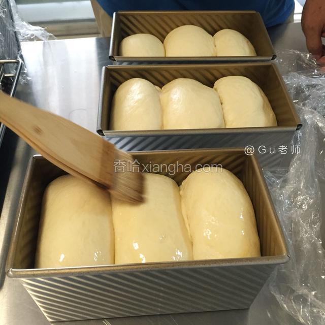发酵八九分满刷蛋液烤箱预热上下火180烘烤30分钟温度按照自家烤箱