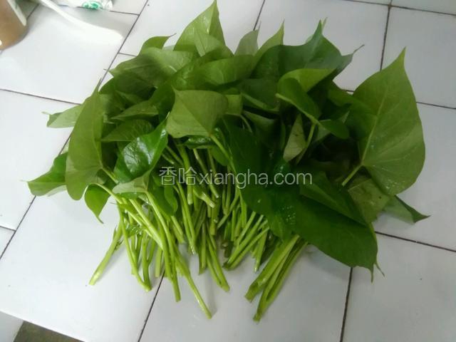 准备新鲜的番薯叶