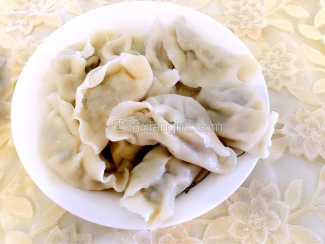 黄瓜猪肉水饺