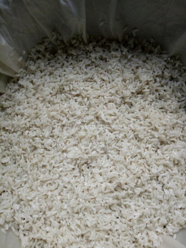 一层米一层枣直至铺完  一般共三层米两层枣