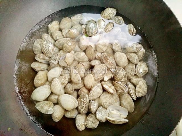 把清泡好的花蚬放入开水锅里煮熟。
