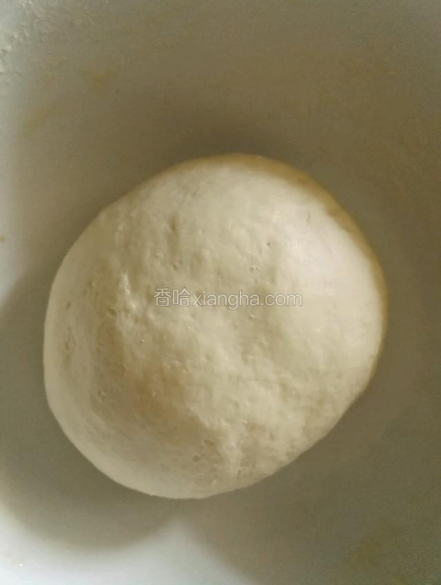 加入牛奶和成光滑面团