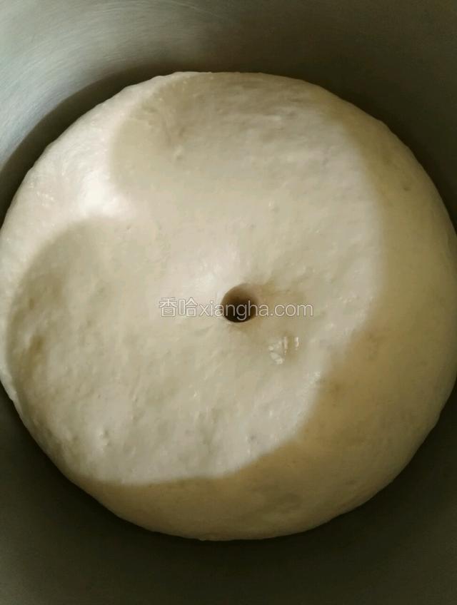 面揉好后放入温暖处发酵至2.5到3倍大，用手指戳不回缩证明发酵好了