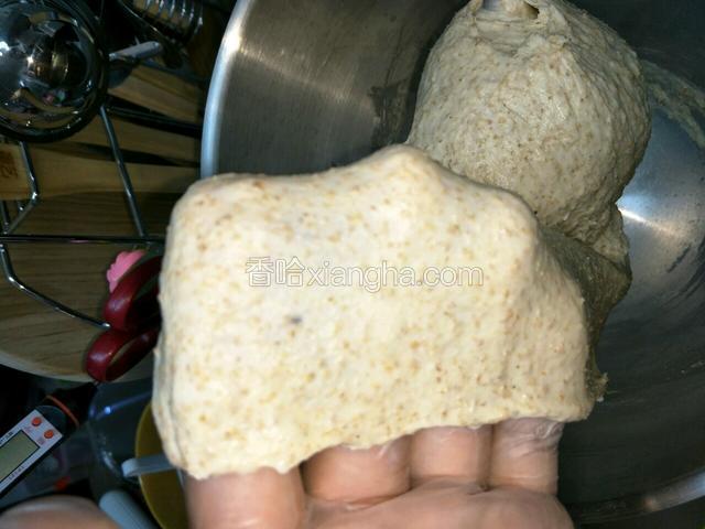 这时候可以投入盐和黄油，盐起到洁白面团和支撑骨架的作用，黄油是帮助面团进一步扩展和不粘手。

加入黄油和盐之后，开3档继续搅拌，面团组织会重新解体再收拢，记得用硅胶刮刀，把桶壁上的黄油刮下帮助沾到面团上。

搅拌差不多5-6分钟的时候，检视下面团，这时候面团扩展的更薄但是裂口还很粗糙，再多搅2·3分钟，一边观察不要过头了把面筋打断就不好了。

基本上放进黄油和盐之后，总共搅打10分钟，就可以达到出薄膜的状态，裂口是圆形的就差不多了，这时候面团拿在手上会有一种软泡泡的感觉，有点像棉花糖。做土司的要求比较高，如果没有揉到位，面团的持气能力不足，会怎么也发不满土司盒，烤出来也不会松软好吃了。