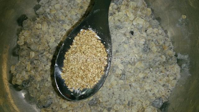 放入白芝麻（喜欢可以多加点）
