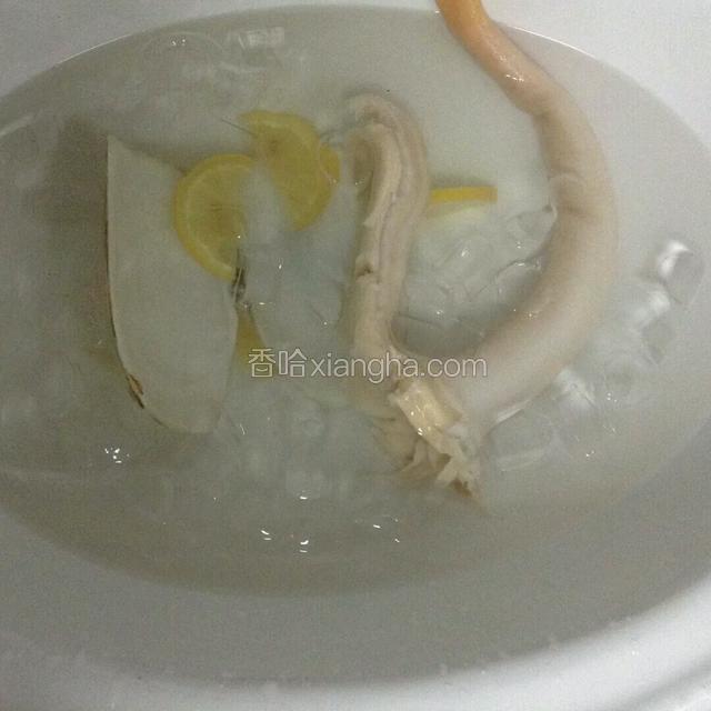 象拔蚌浸泡在放有柠檬片和冰块的水中。
