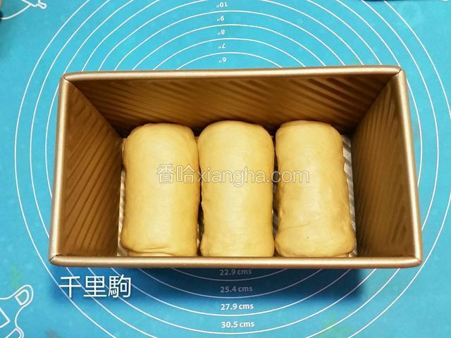完成后放入450克的土司模里