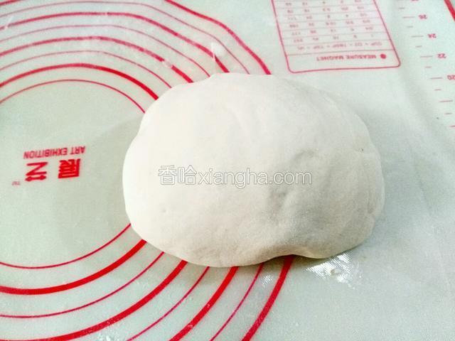 准备好发面团一个，揉好了备用。