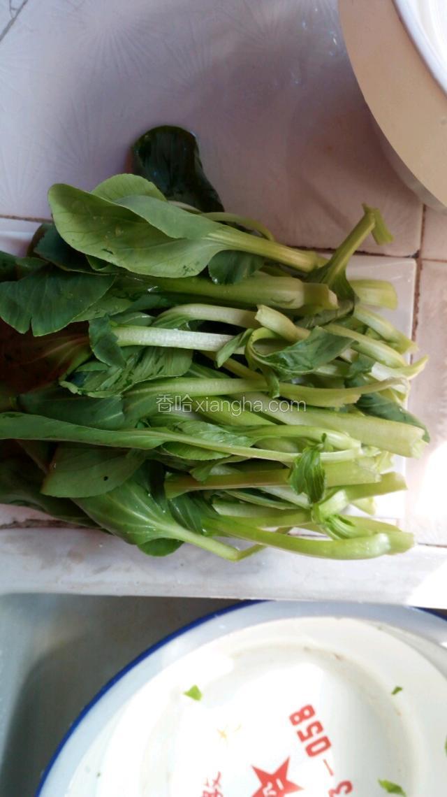 
准备小油菜，洗净备用