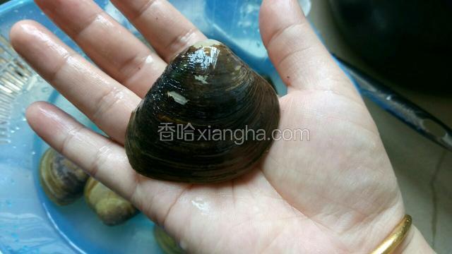 好大一个，来个特写
