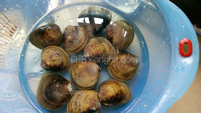 买来的河蚬比较干净，没有沙的，外面用刷子洗净
