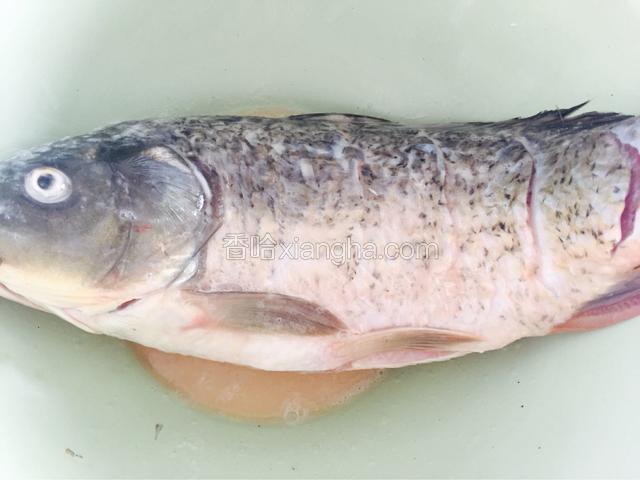 盆里倒入料酒、蛋清和淀粉，搅成糊状，把湿淀粉均匀涂抹在鱼身上