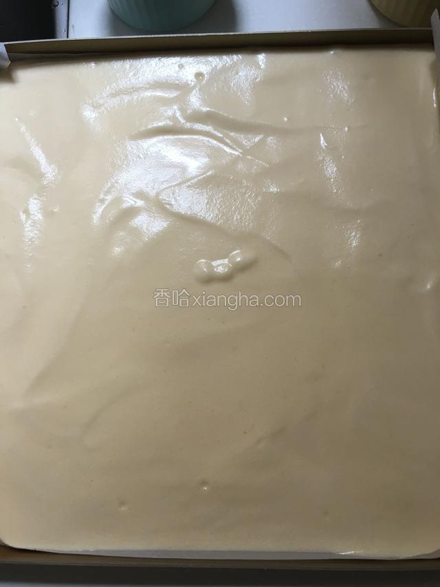 烤箱160度预热五分钟，中层上下火烤40分钟，把拌好的蛋糊倒入烤盘中