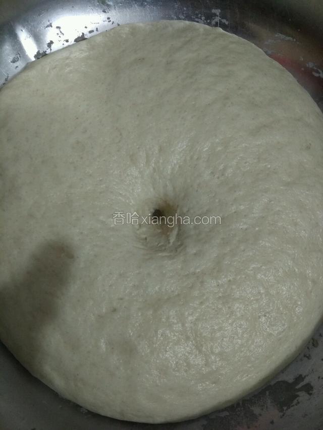 面粉发酵好不好：用手指刷进去，不回弹就好啦，看比原来大概有2-3倍大哦。天气热两小时完全发好了。