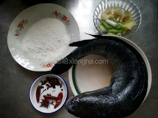 准备食材：黑鱼洗净清理内脏，用刀刮干净鱼鳞，剪掉背鳍，葱切段，姜切片 ，蒜拍开
