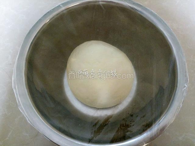 酵母化开后倒入高粉350g揉成面团，盖保鲜膜放入冰箱冷藏12-17小时。（中种面团揉成团，不必过分揉搓，若室温较低的季节如冬天就先室温发酵30-60分钟再放入冰箱。）