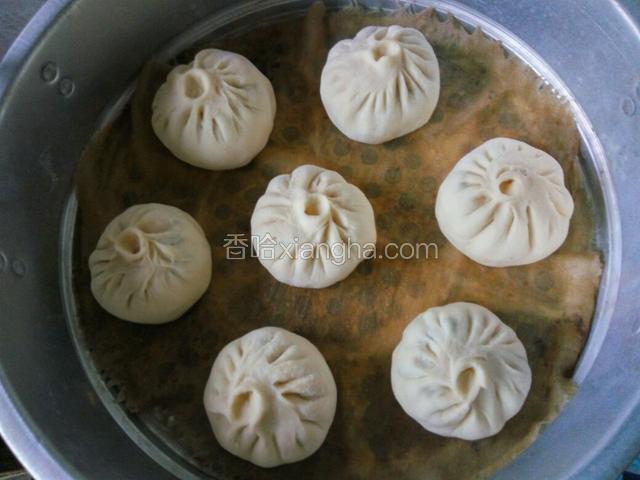 锅中加适量热水，放入湿的屉布，把包子生胚放入锅中盖盖，开锅蒸二十分钟，在焖三分钟