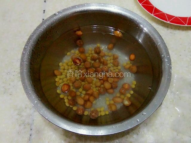 清水淘洗干净提前晚上泡好