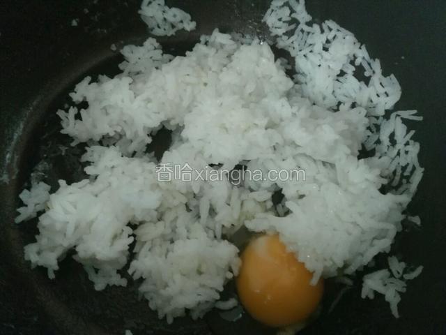 准备冷藏过的剩饭