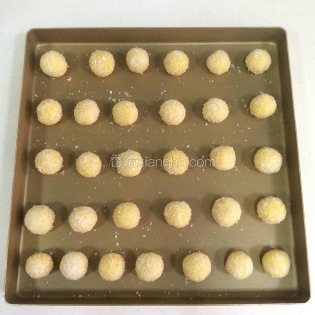 把做好的椰蓉球摆入不粘烤盘内，椰蓉球之间要留有空隙，如果不是不粘盘记得垫张油纸。