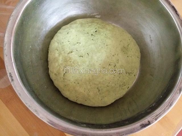 发酵至两倍大取出排气