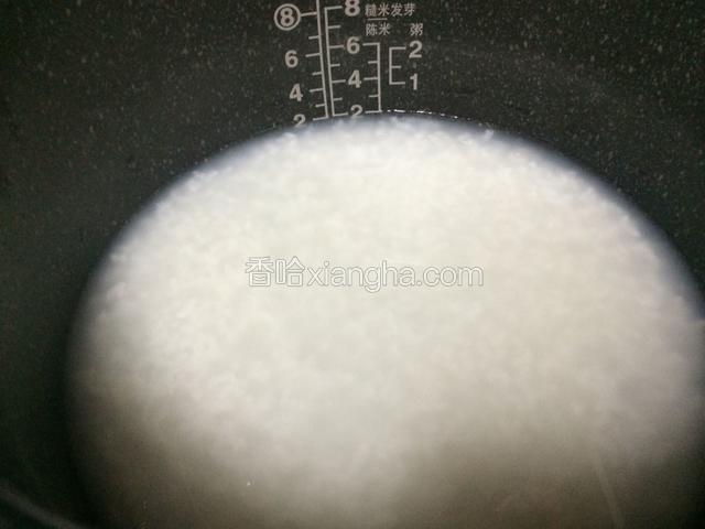 大米洗干净，用压力锅煲成白米粥，可以做的浓稠一点