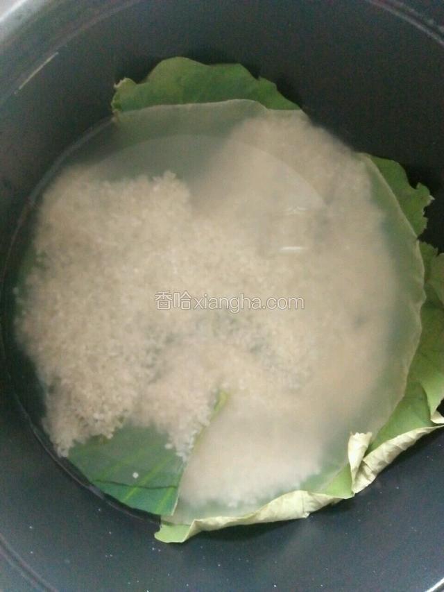 倒入洗净的大米和饮用水（约800毫升）。