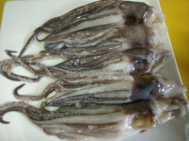 鱿鱼须备用