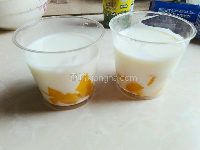 倒入酸奶，放入冰箱冷藏4小时