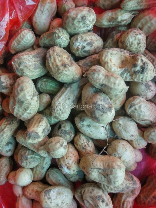 备好食材，刚出土的哦。