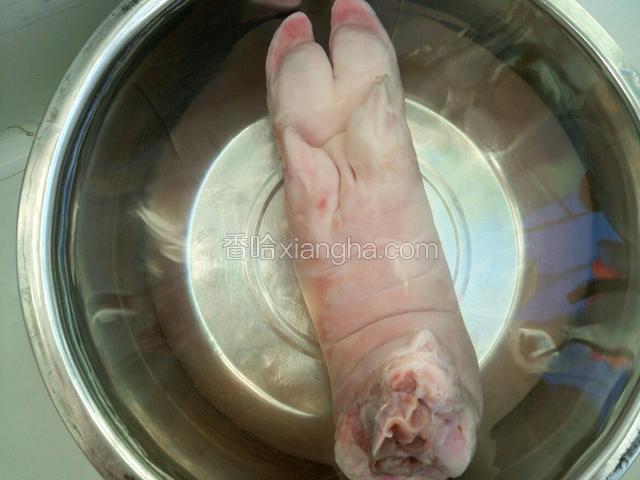 猪蹄儿用清水洗净