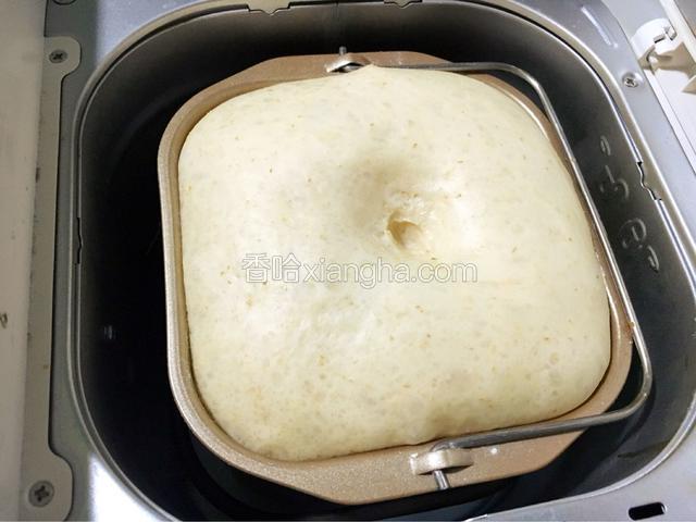 直接在面包机里发酵至2.5倍大。面发好后，再起动揉面程序几分钟，给面团排气。