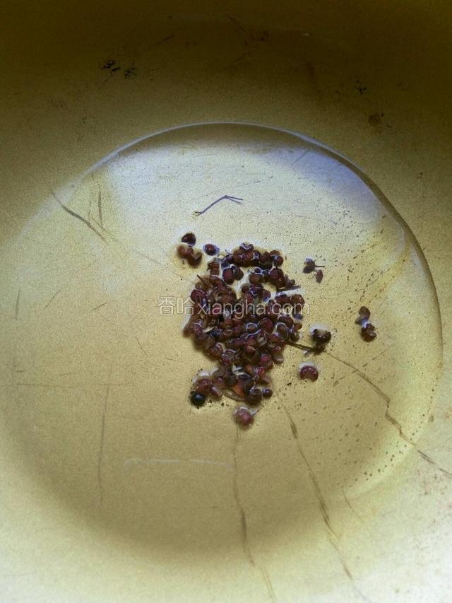 锅里放油烧热放入麻椒炸出香味。