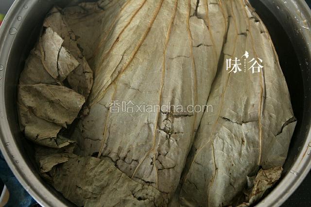 荷叶用水浸泡一下，再煮一下，软了就行了。