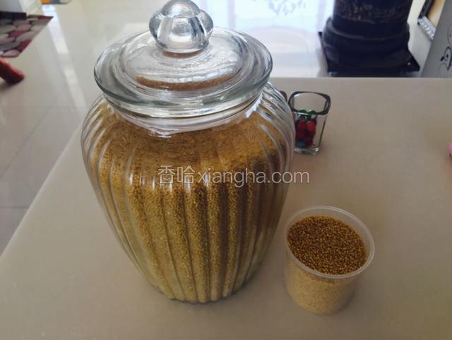 小米一碗（姑姑家自己种的小米）