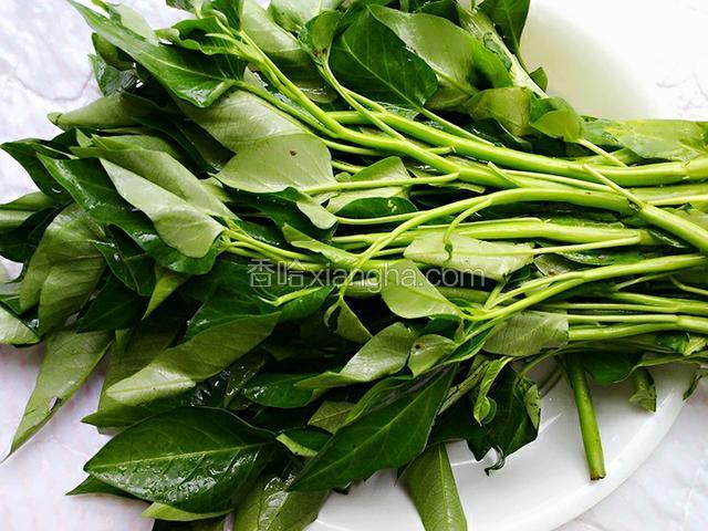 准备空心菜一把，把空心菜尖掐下来，在把叶子去掉，菜尖可以煮面时放些，也不浪费，
