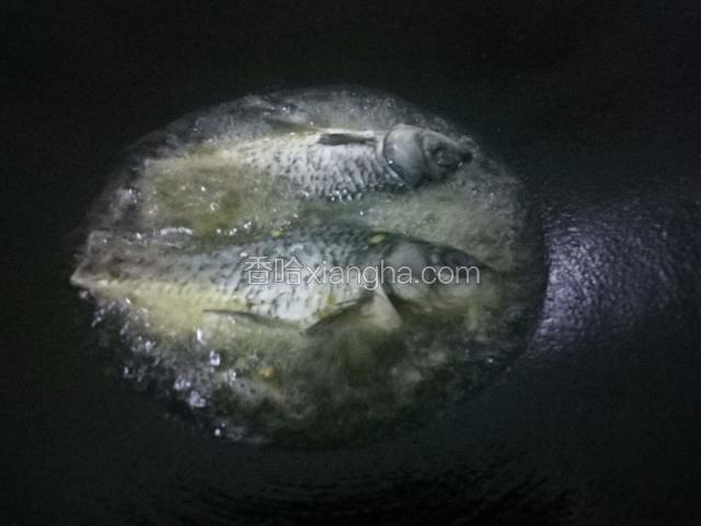 放入鲫鱼油炸