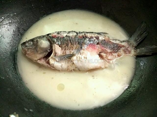小火慢炖30-40分钟，等鱼汤变得奶白色调入适量盐即可出锅